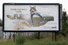 Kočky v reklamě, reklama pro kočky