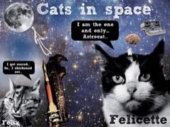 Félicette - neuvěřitelný příběh kočičí astronautky