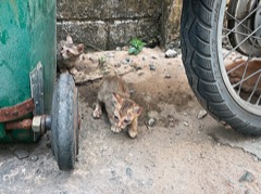 Jižní Vietnam &ndash; část druhá: Phu Quoc 