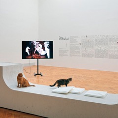 Paní Ester milovala kočky 