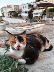 Samos &ndash; řecký ostrov potřetí