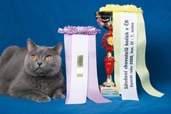 Modří atleti z Chartreux